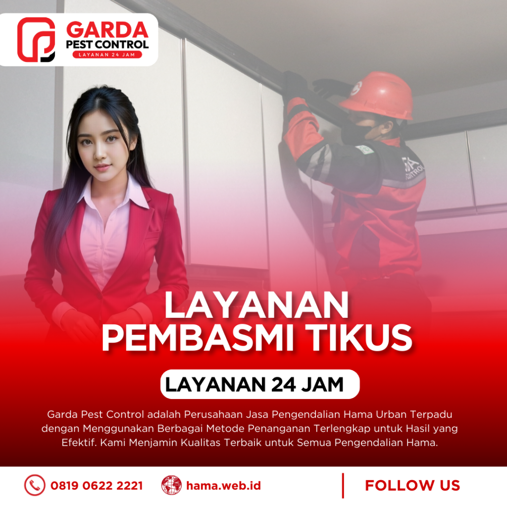 Jasa Pembasmi Tikus Terbaik dan Berpengalaman