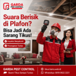 Jasa Basmi Tikus Rumah Bantul Terbaik & Garansi Tuntas