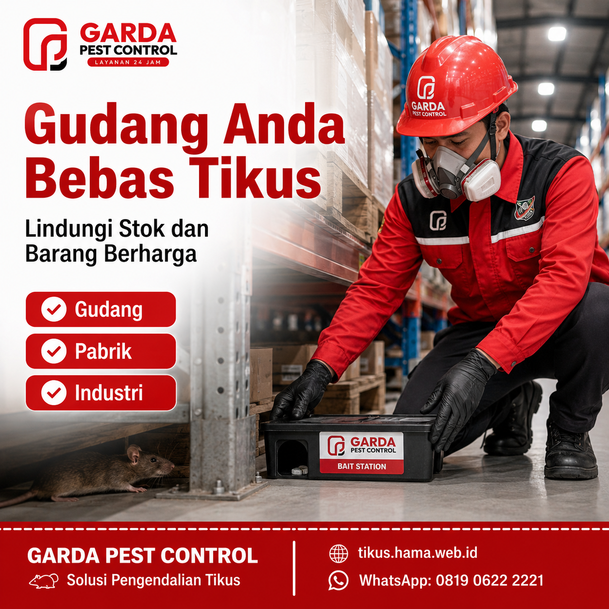 Mengenali Tanda Sarang Tikus di Rumah Sudah Parah dan Solusi Menanganinya