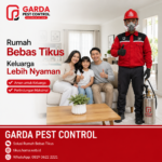 Jasa Pembasmi Tikus Area Gudang dan Pabrik Bantul untuk Perlindungan Fasilitas Industri