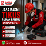 Jasa Pembasmi Tikus di Bantul Siap Tangani 24 Jam