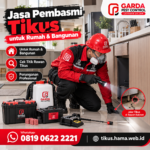 Ciri Ciri Keberadaan Tikus di Dapur Restoran yang Wajib Diwaspadai Pengelola Kuliner