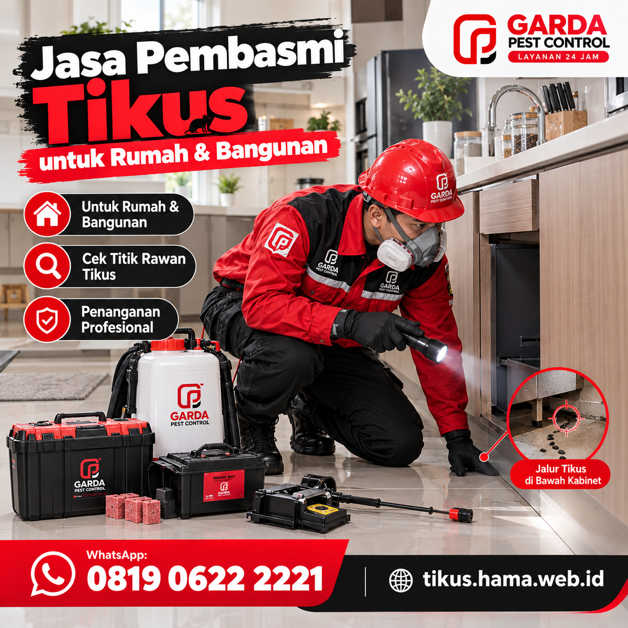 Ciri Ciri Keberadaan Tikus di Dapur Restoran yang Wajib Diwaspadai Pengelola Kuliner