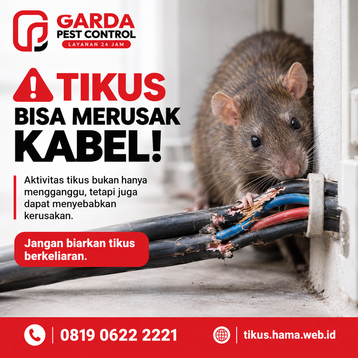 Layanan Jasa Pembasmi Tikus untuk Restoran dan Rumah Makan Bantul