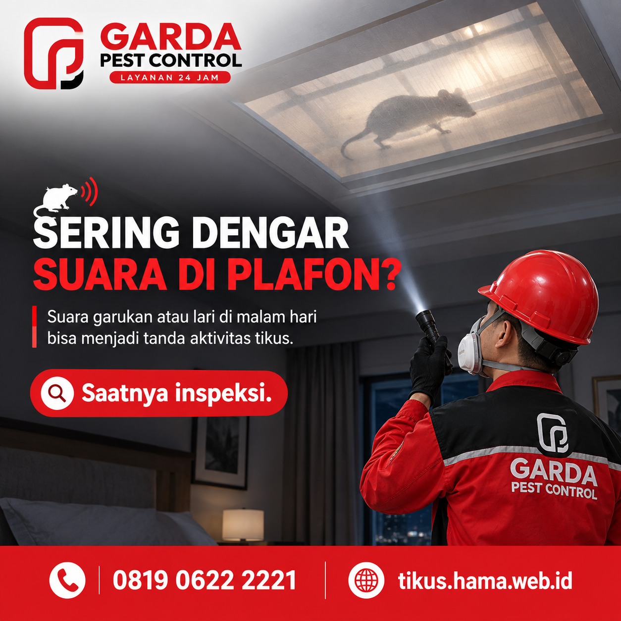 Jasa Pembasmi Tikus di Batu Siap Tangani Tangani 24 Jam